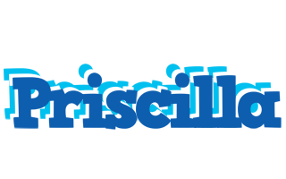 Priscilla business logo