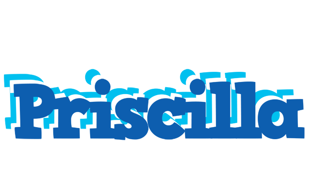 Priscilla business logo