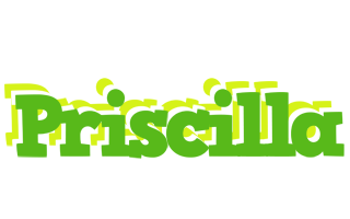 Priscilla picnic logo