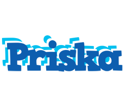 Priska business logo