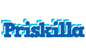 Priskilla business logo