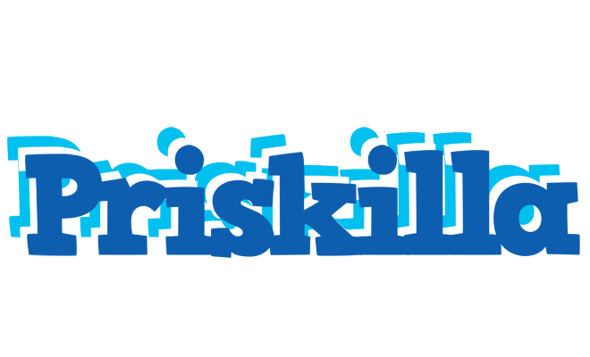 Priskilla business logo