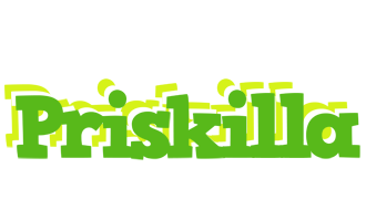 Priskilla picnic logo