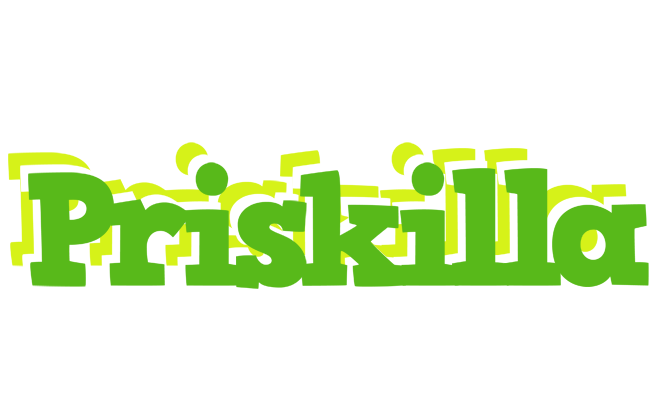 Priskilla picnic logo