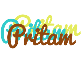 Pritam cupcake logo