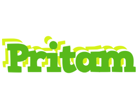 Pritam picnic logo