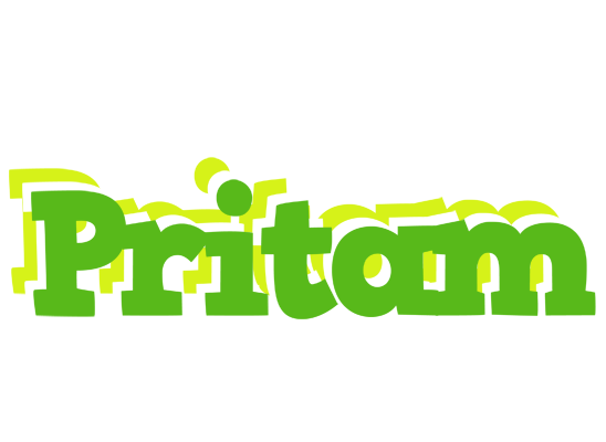 Pritam picnic logo