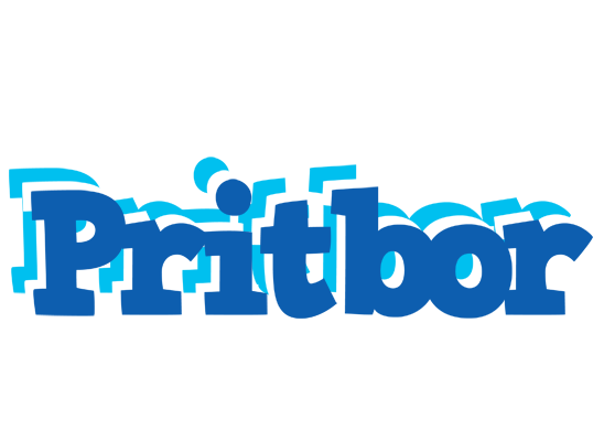 Pritbor business logo