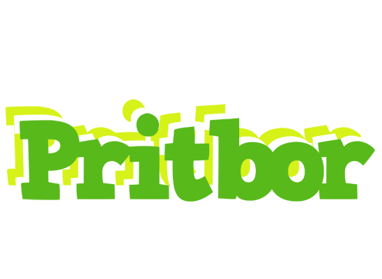 Pritbor picnic logo