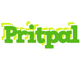 Pritpal picnic logo