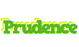 Prudence picnic logo