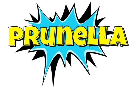 Prunella amazing logo