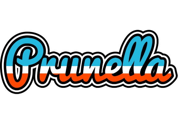 Prunella america logo