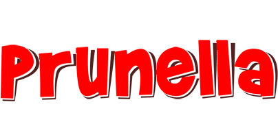 Prunella basket logo
