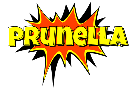 Prunella bazinga logo