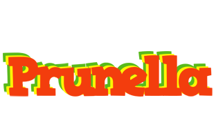 Prunella bbq logo