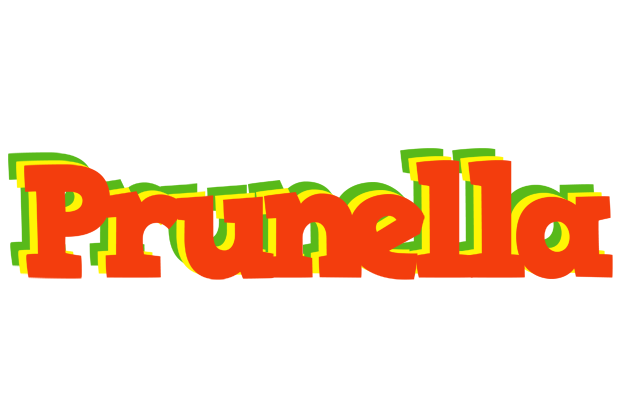 Prunella bbq logo