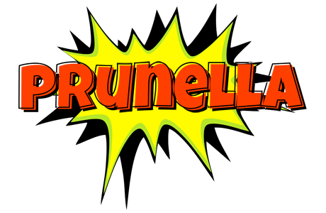 Prunella bigfoot logo