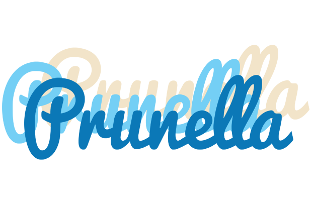 Prunella breeze logo