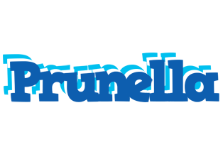 Prunella business logo