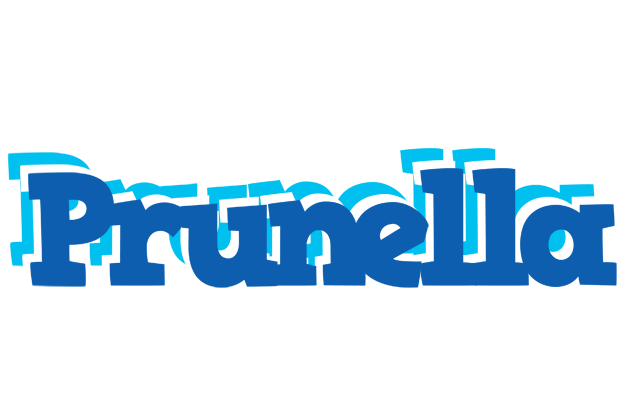 Prunella business logo