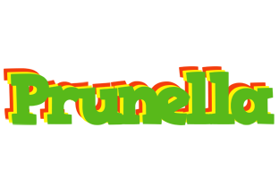 Prunella crocodile logo