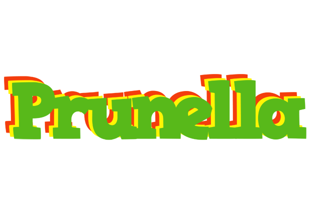 Prunella crocodile logo
