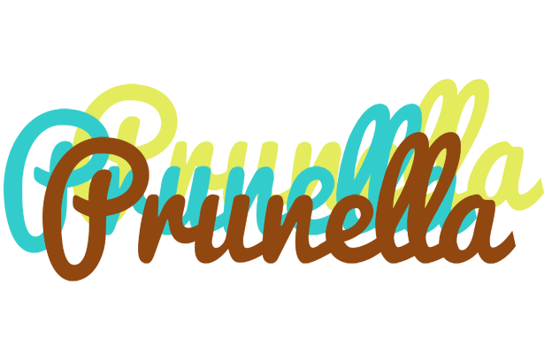 Prunella cupcake logo