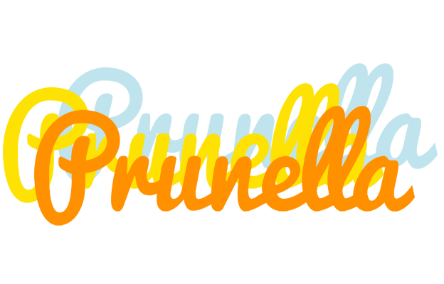 Prunella energy logo
