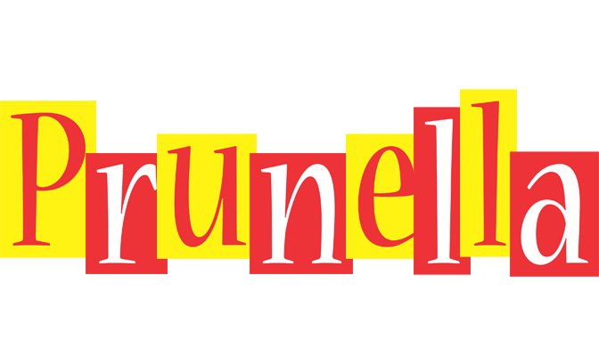 Prunella errors logo