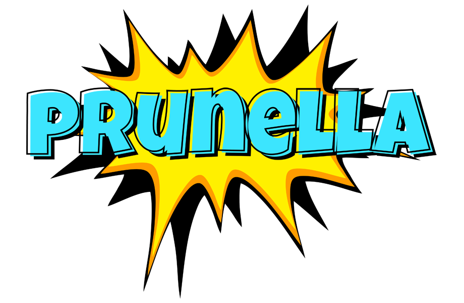 Prunella indycar logo