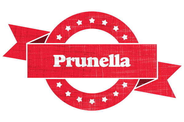 Prunella passion logo