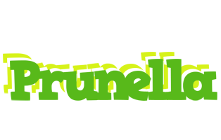 Prunella picnic logo