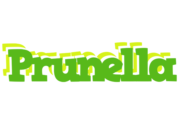 Prunella picnic logo