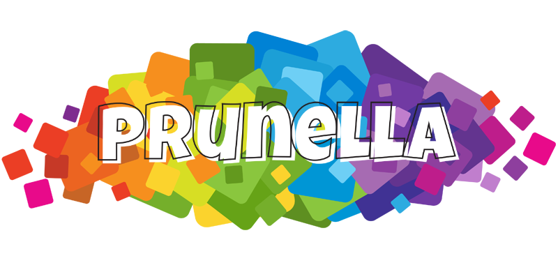 Prunella pixels logo