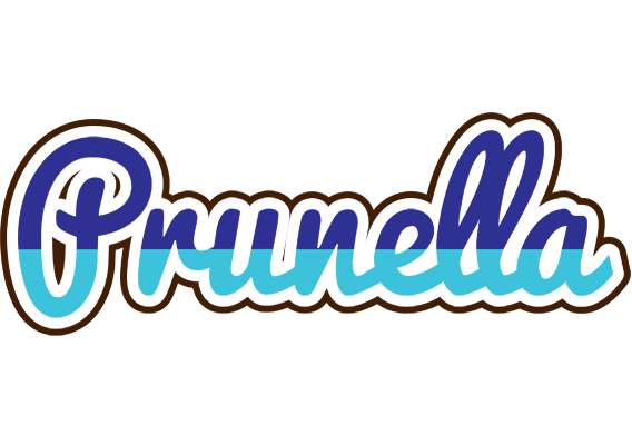 Prunella raining logo