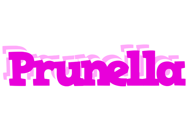 Prunella rumba logo