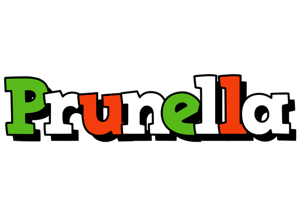 Prunella venezia logo