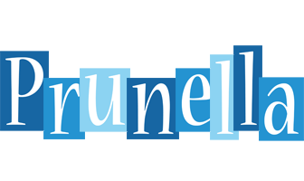 Prunella winter logo