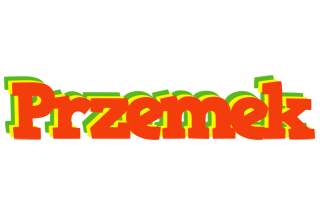Przemek bbq logo