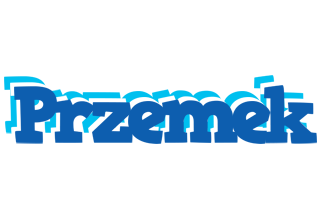 Przemek business logo