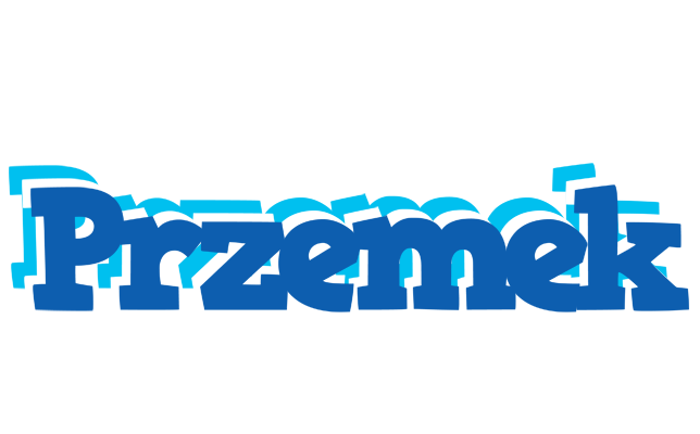 Przemek business logo