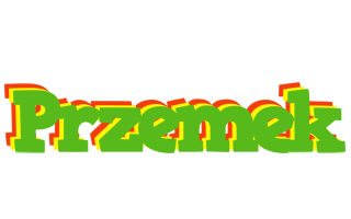 Przemek crocodile logo