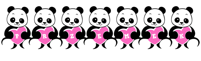 Przemek love-panda logo