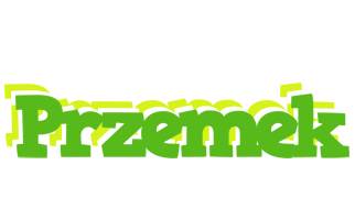 Przemek picnic logo