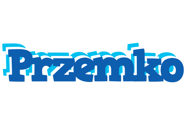 Przemko business logo