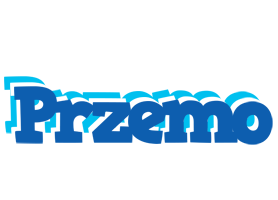 Przemo business logo