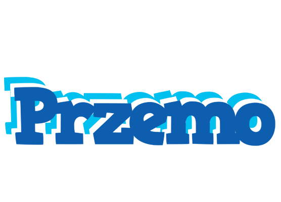 Przemo business logo