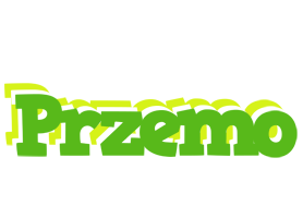 Przemo picnic logo