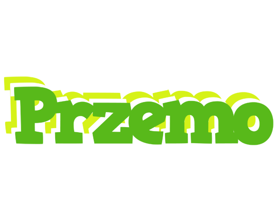 Przemo picnic logo